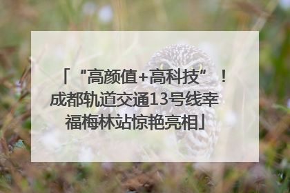 “高颜值+高科技”！成都轨道交通13号线幸福梅林站惊艳亮相