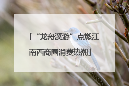 “龙舟溪游”点燃江南西商圈消费热潮