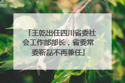 王乾出任四川省委社会工作部部长，省委常委靳磊不再兼任