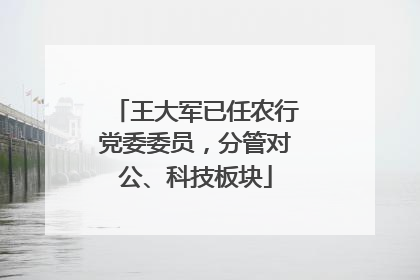 王大军已任农行党委委员，分管对公、科技板块