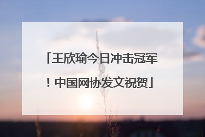 王欣瑜今日冲击冠军！中国网协发文祝贺