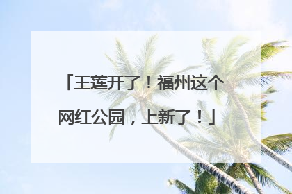 王莲开了！福州这个网红公园，上新了！