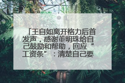 王自如离开格力后首发声，感谢董明珠给自己鼓励和帮助，回应“工资条”：清楚自己要什么，工资条不重要