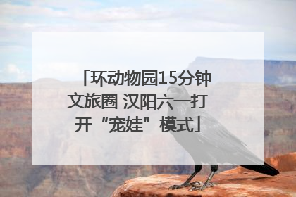 环动物园15分钟文旅圈 汉阳六一打开“宠娃”模式