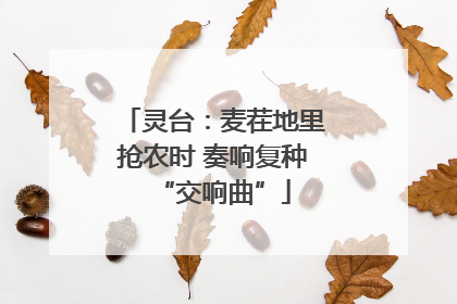 灵台：麦茬地里抢农时 奏响复种“交响曲”