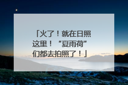 火了！就在日照这里！“夏雨荷”们都去拍照了！