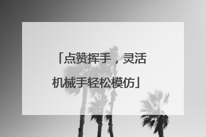 点赞挥手，灵活机械手轻松模仿