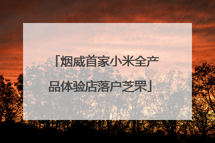 烟威首家小米全产品体验店落户芝罘