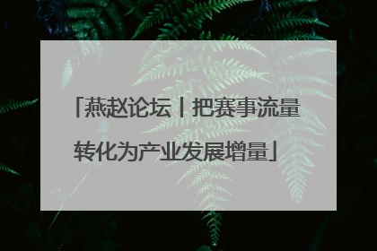 燕赵论坛丨把赛事流量转化为产业发展增量