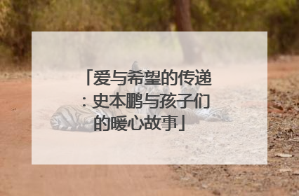 爱与希望的传递：史本鹏与孩子们的暖心故事
