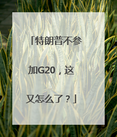 特朗普不参加G20，这又怎么了？