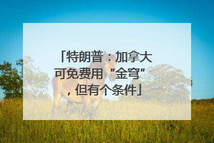特朗普：加拿大可免费用“金穹”，但有个条件