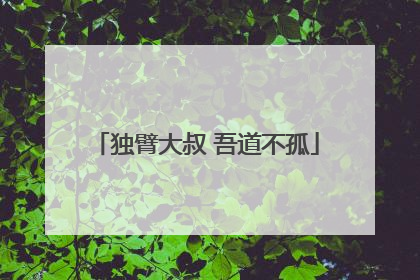 独臂大叔 吾道不孤
