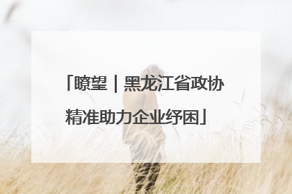 瞭望｜黑龙江省政协精准助力企业纾困