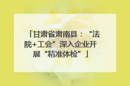甘肃省肃南县：“法院+工会”深入企业开展“精准体检”