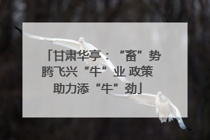 甘肃华亭：“畜”势腾飞兴“牛”业 政策助力添“牛”劲