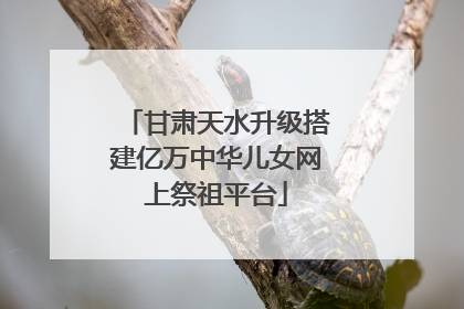 甘肃天水升级搭建亿万中华儿女网上祭祖平台