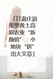 甘肃庄浪重塑黄土高原农业“新颜值”：小地块“拼”出大文章
