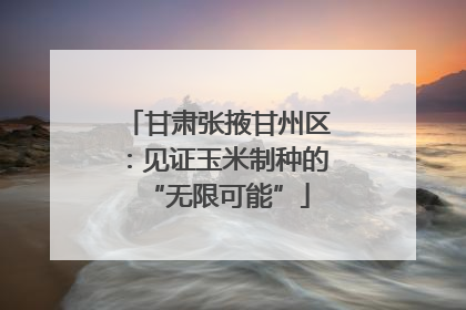 甘肃张掖甘州区：见证玉米制种的“无限可能”