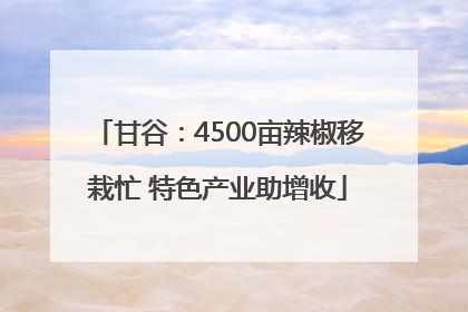 甘谷：4500亩辣椒移栽忙 特色产业助增收