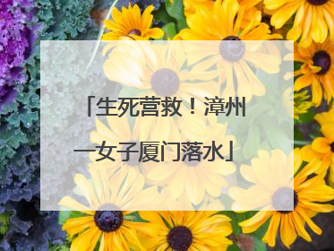生死营救！漳州一女子厦门落水
