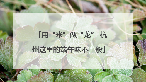 用“米”做“龙” 杭州这里的端午味不一般