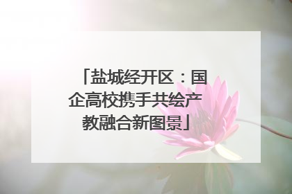 盐城经开区：国企高校携手共绘产教融合新图景