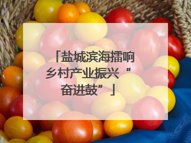 盐城滨海擂响乡村产业振兴“奋进鼓”