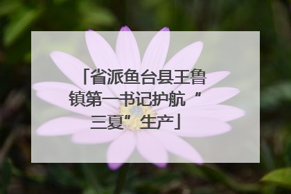 省派鱼台县王鲁镇第一书记护航“三夏”生产