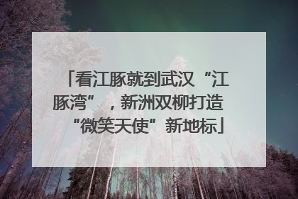 看江豚就到武汉“江豚湾”，新洲双柳打造“微笑天使”新地标