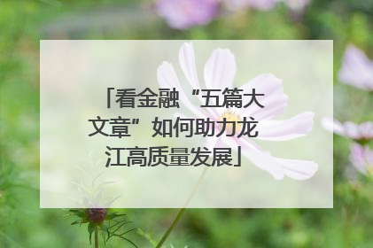 看金融“五篇大文章”如何助力龙江高质量发展