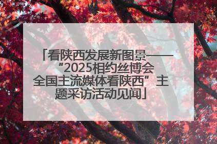 看陕西发展新图景——“2025相约丝博会 全国主流媒体看陕西”主题采访活动见闻