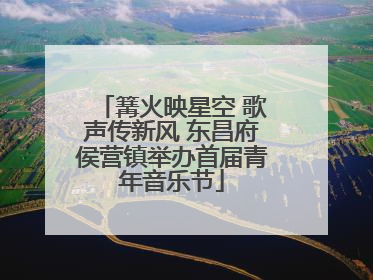 篝火映星空 歌声传新风 东昌府侯营镇举办首届青年音乐节