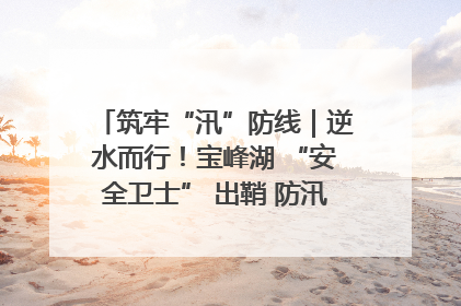 筑牢“汛”防线｜逆水而行！宝峰湖 “安全卫士” 出鞘 防汛应急再添硬核力量