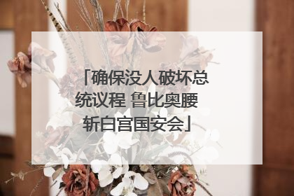 确保没人破坏总统议程 鲁比奥腰斩白宫国安会