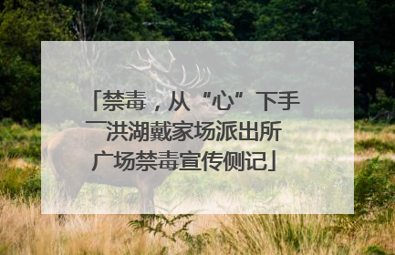禁毒，从“心”下手――洪湖戴家场派出所广场禁毒宣传侧记