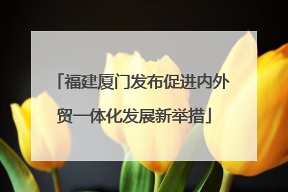 福建厦门发布促进内外贸一体化发展新举措