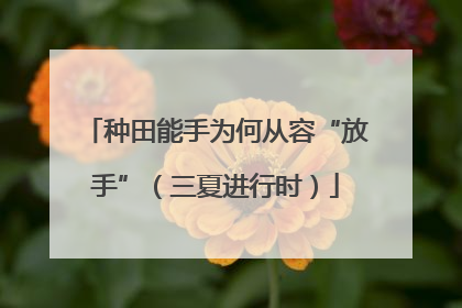 种田能手为何从容“放手”（三夏进行时）
