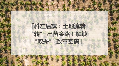 科左后旗：土地流转 “转” 出黄金路！解锁 “双薪” 致富密码