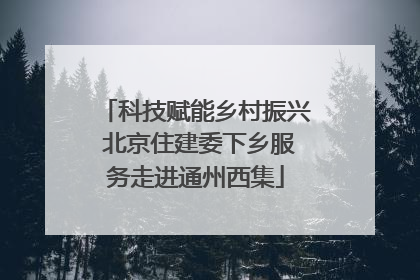 科技赋能乡村振兴 北京住建委下乡服务走进通州西集