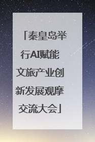 秦皇岛举行AI赋能文旅产业创新发展观摩交流大会