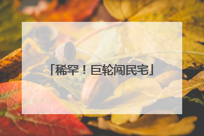 稀罕！巨轮闯民宅