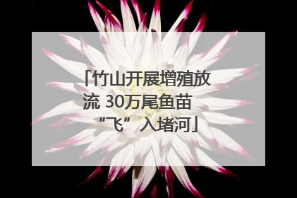 竹山开展增殖放流 30万尾鱼苗“飞”入堵河