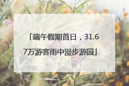 端午假期首日，31.67万游客雨中漫步游园