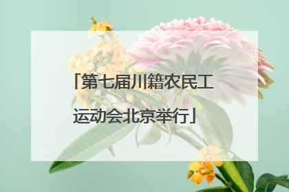 第七届川籍农民工运动会北京举行