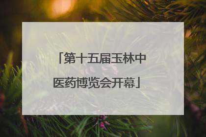 第十五届玉林中医药博览会开幕