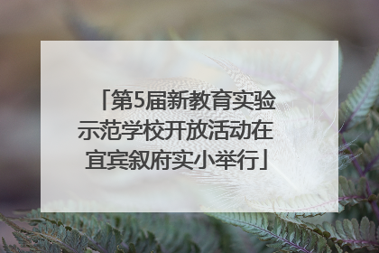 第5届新教育实验示范学校开放活动在宜宾叙府实小举行