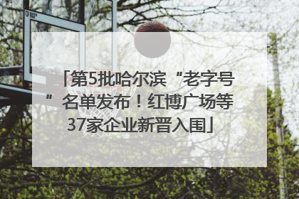 第5批哈尔滨“老字号”名单发布！红博广场等37家企业新晋入围