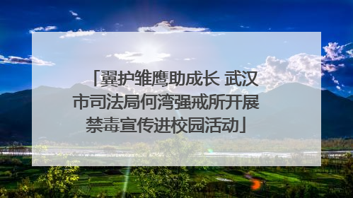 翼护雏鹰助成长 武汉市司法局何湾强戒所开展禁毒宣传进校园活动