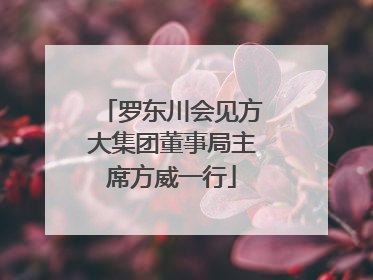 罗东川会见方大集团董事局主席方威一行